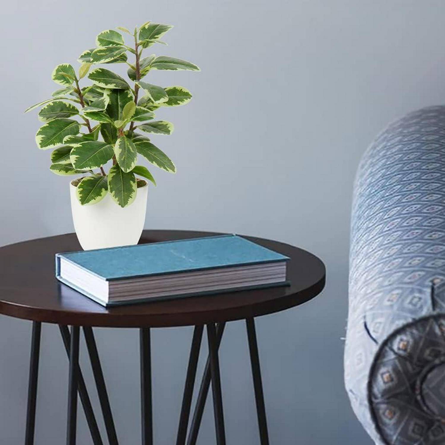 Eine kleine Topfpflanze mit bunten Blättern steht auf einem runden, dunklen Beistelltisch neben einem geschlossenen blauen Buch, in der Nähe eines gemusterten Sofas.