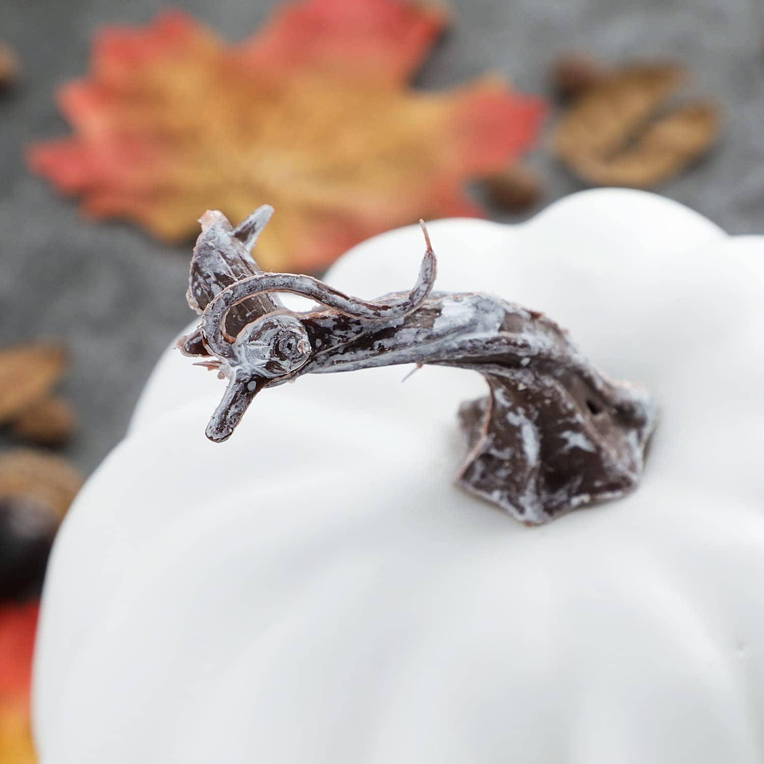 Eine weiße Kürbis mit einem bereiften Stiel steht im Fokus, umgeben von verschwommenen Herbstblättern, was ein Herbst- oder Thanksgiving-Motiv vermittelt.