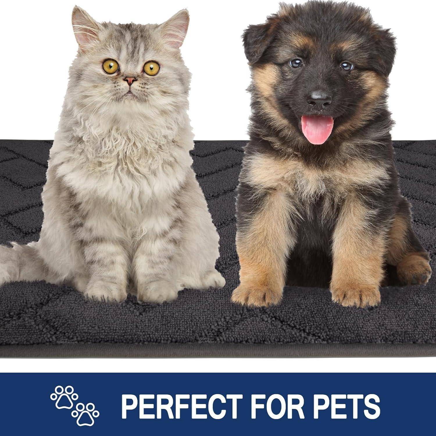 Eine flauschige graue Katze und ein brauner Welpe sitzen gemeinsam auf einer strukturierten Matte. Die Fahne darunter liest sich „Perfekt für Haustiere