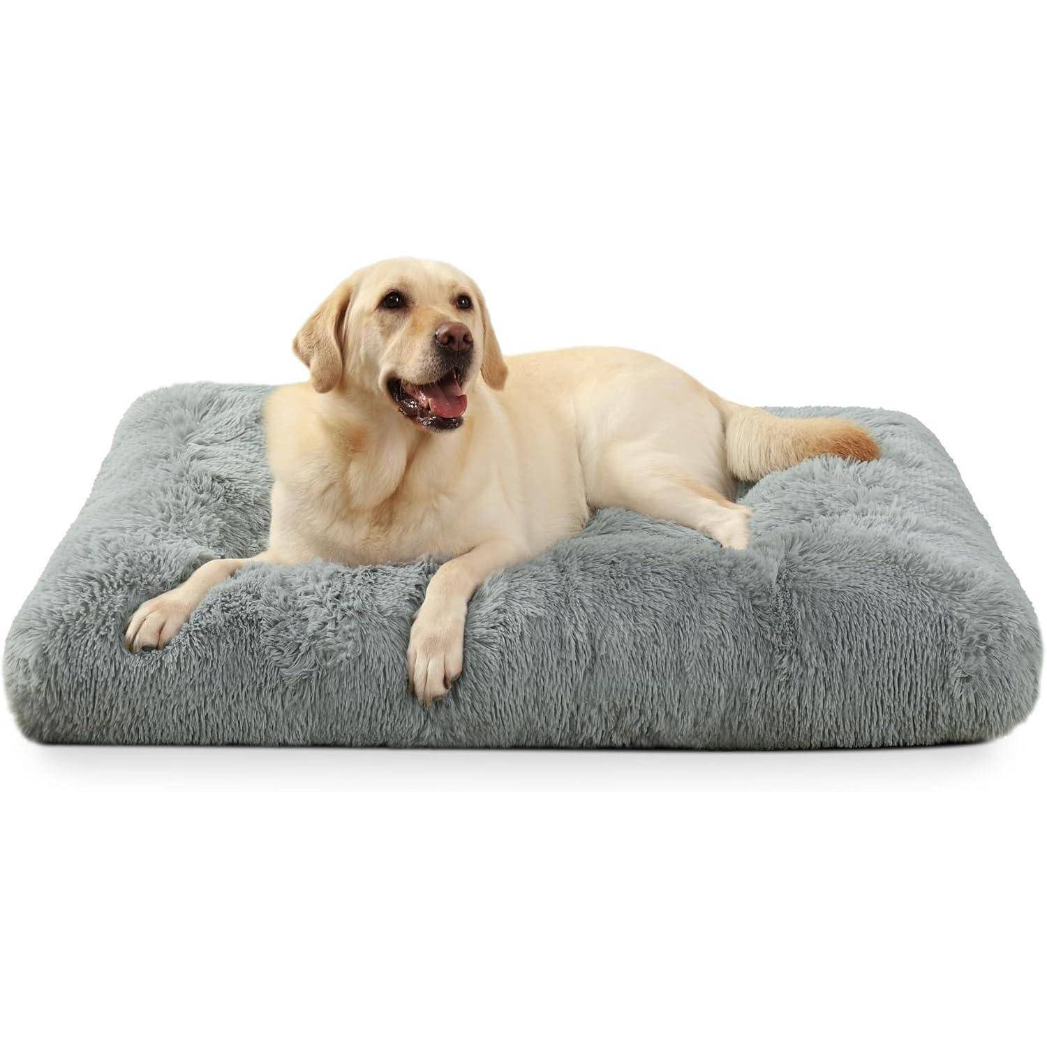 Ein Labrador Retriever liegt auf einem großen grauen Plüsch-Hundebett und wirkt entspannt und zufrieden.