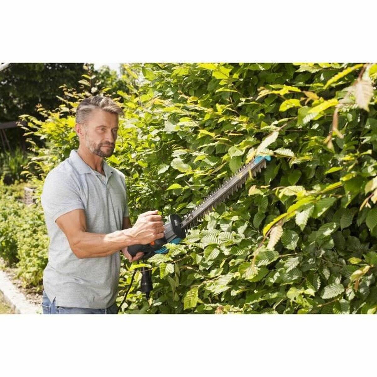 Ein Mann schneidet eine hohe Hecke mit einem elektrischen Heckenschneider und konzentriert sich darauf, das Grün in einer Gartenanlage zu formen.