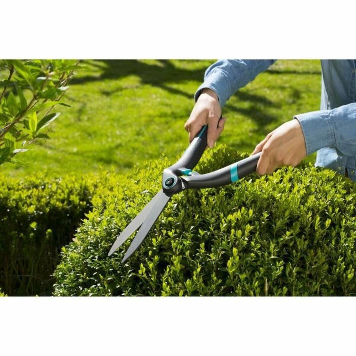 Eine Person, die einen grünen Busch mit großen Gartenscheren in einem sonnendurchfluteten Garten beschneidet.
