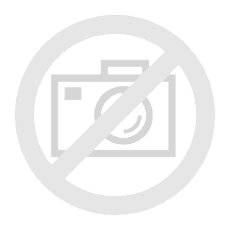 Fujitsu ScanSnap iX100, Dokumentenscanner, (Ricoh)