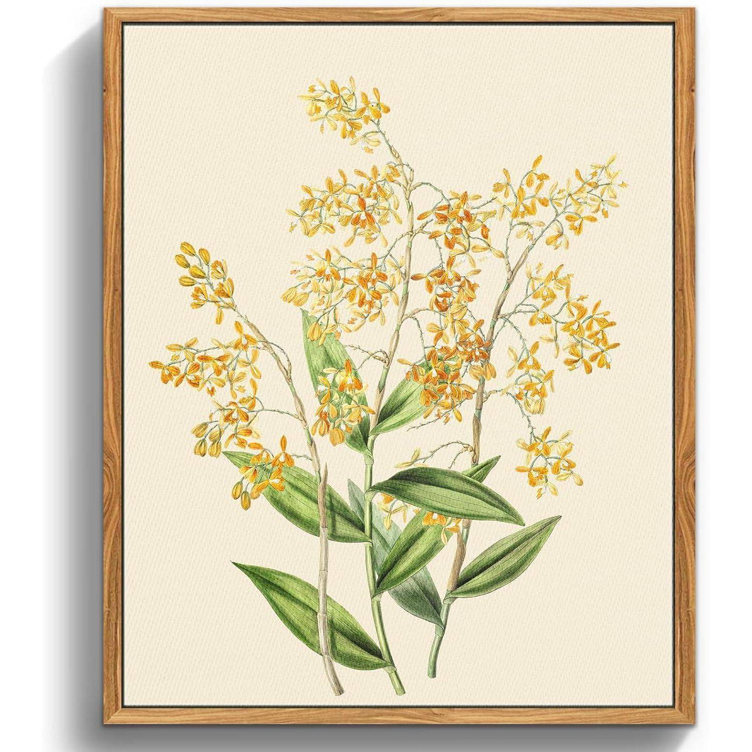 Vintage Botanisch Leinwand Bilder mit Holz Rahmen 30x40 cm Gelbe