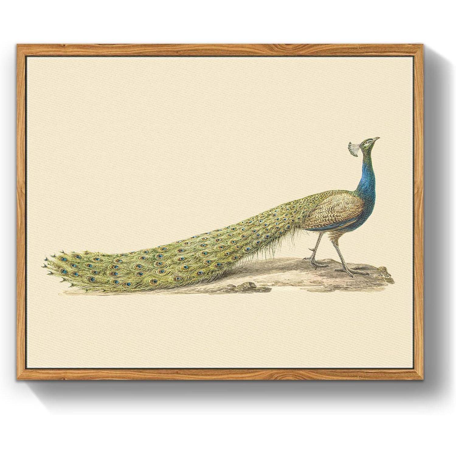 Vintage Vogel Leinwand Bild mit Holzrahmen, 30x40 cm Wandbild