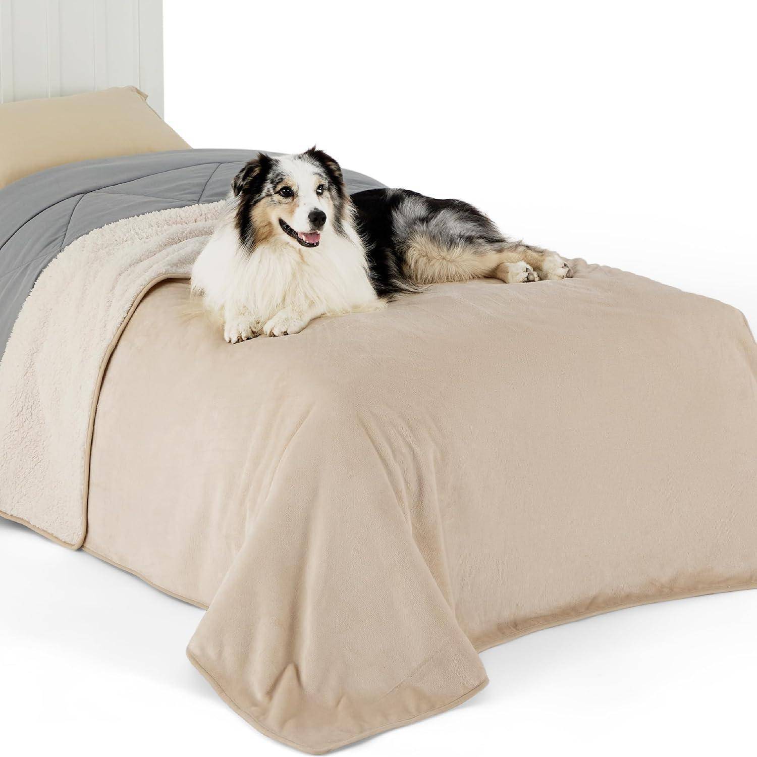 Ein schwarz-weißer Hund liegt gemütlich auf einem sorgfältig bezogenen Bett mit beigefarbener Bettwäsche und wirkt zufrieden und entspannt.