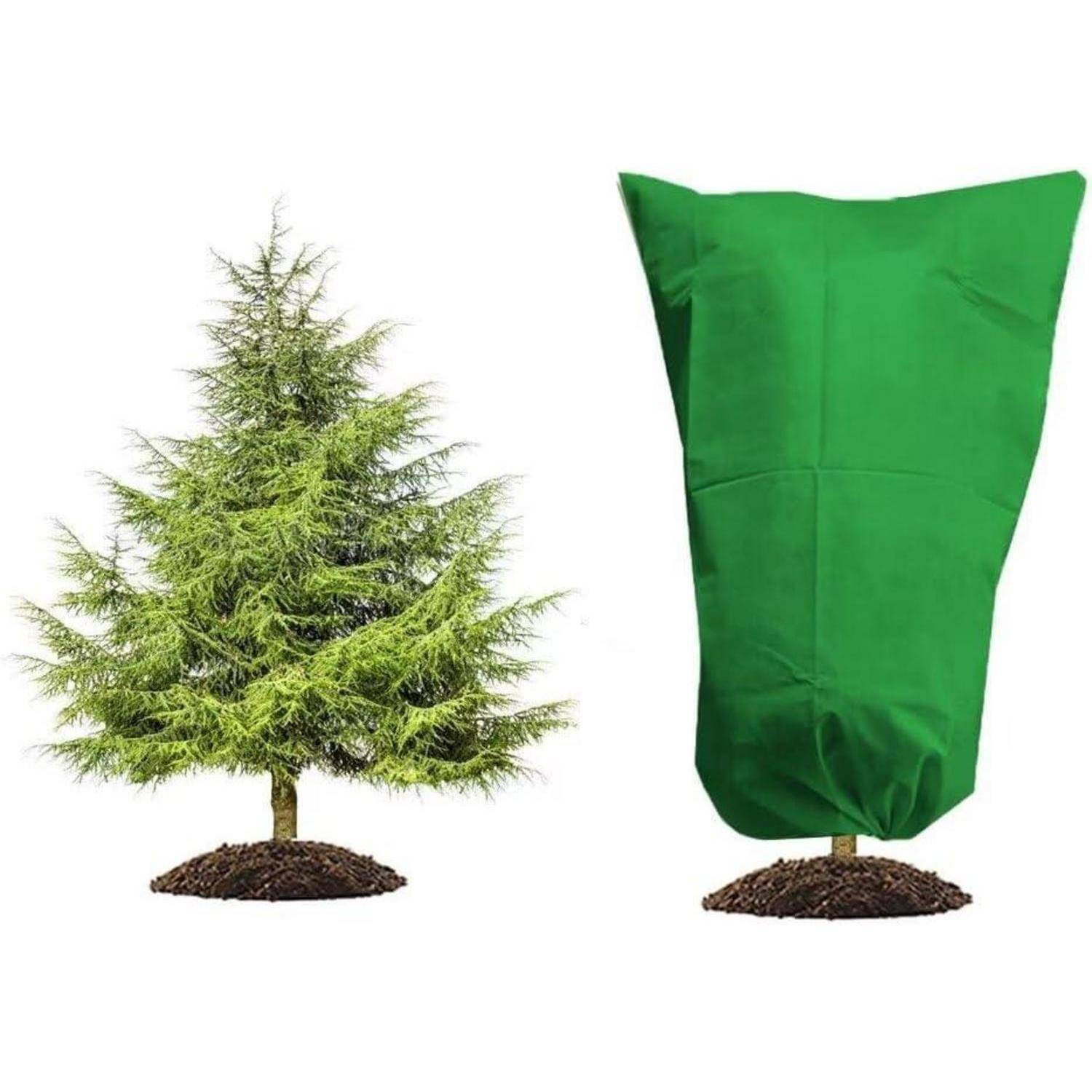Winterschutz Pflanzen Frostschutz Abdeckung Baum Balkon Palme 60x80