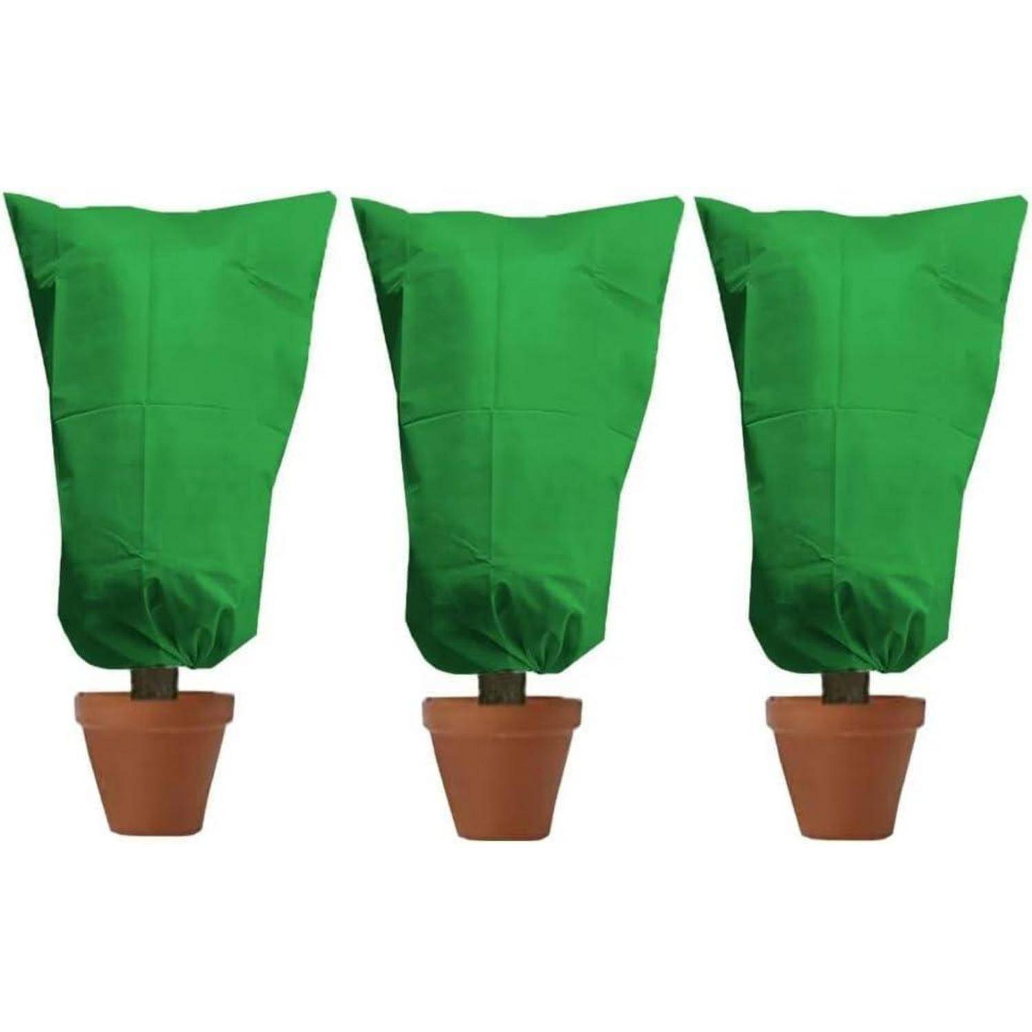 Winterschutz Pflanzen Frostschutz Balkon Palmen 60x80cm Grün 3 Stück