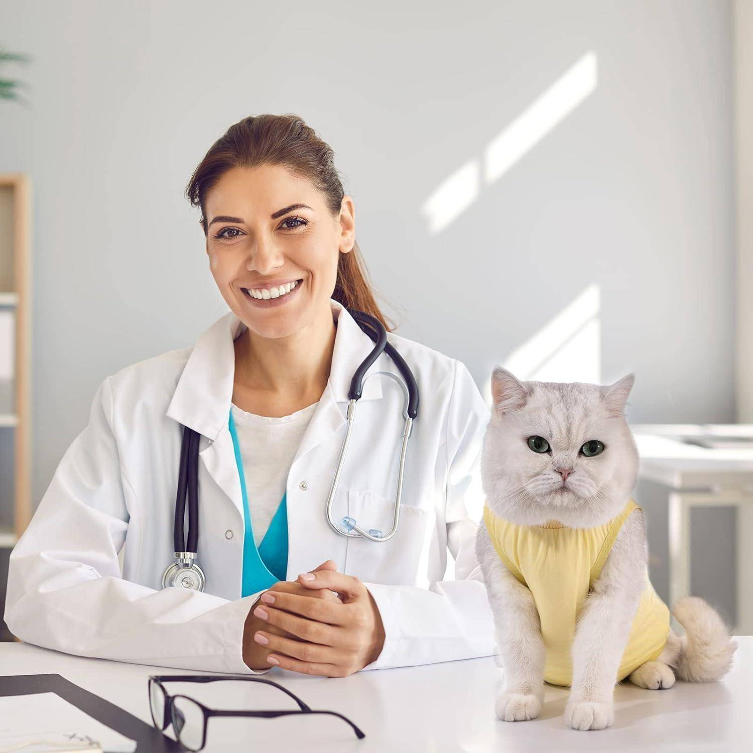 Katzenbody Erholungsanzug OP Kastration Leckschutz Gelb L
