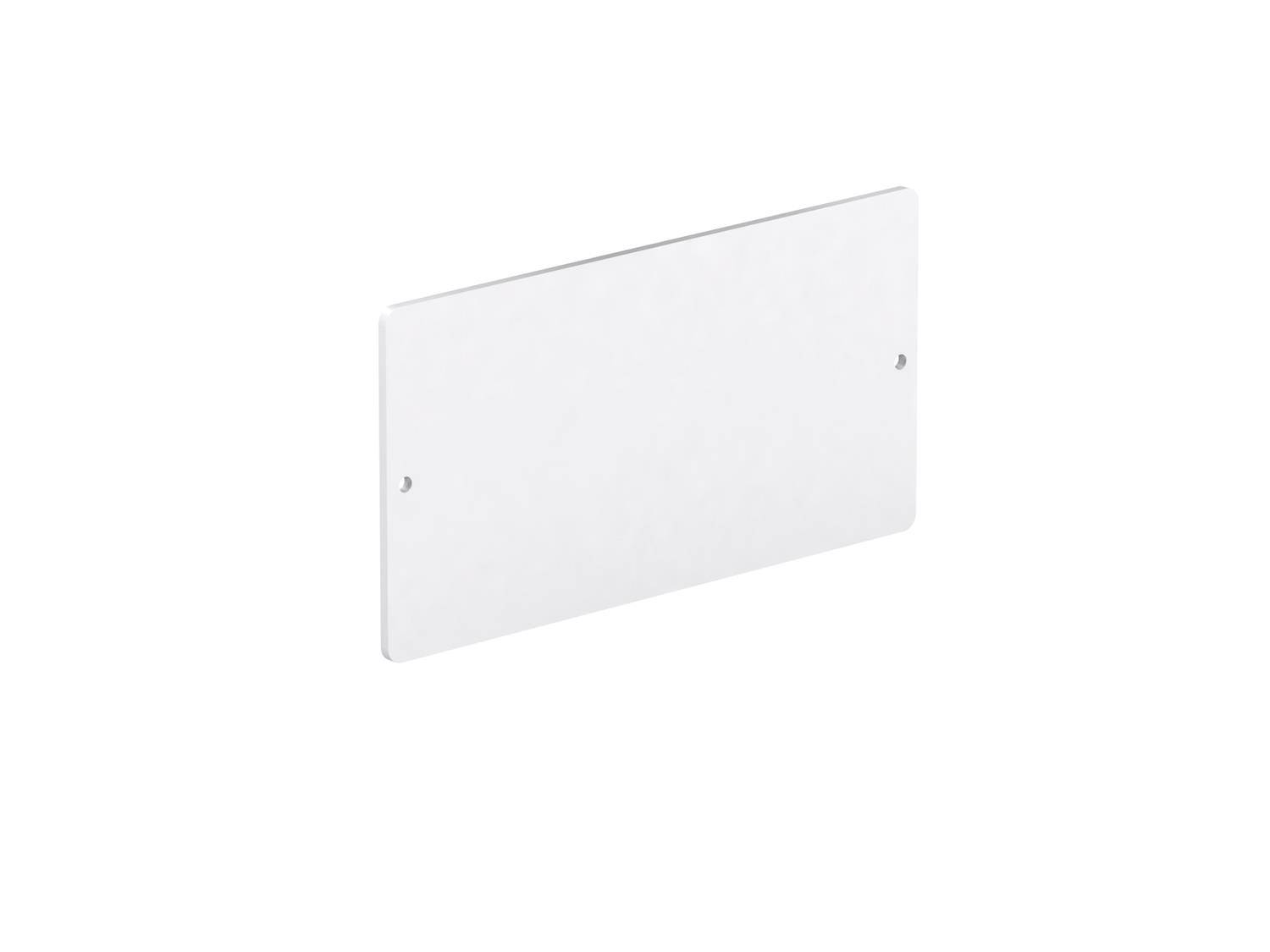 Flaches rechteckiges Glas- oder Acrylpanel mit Mattierung und zwei kleine Befestigungslöcher, auf weißem Hintergrund dargestellt.