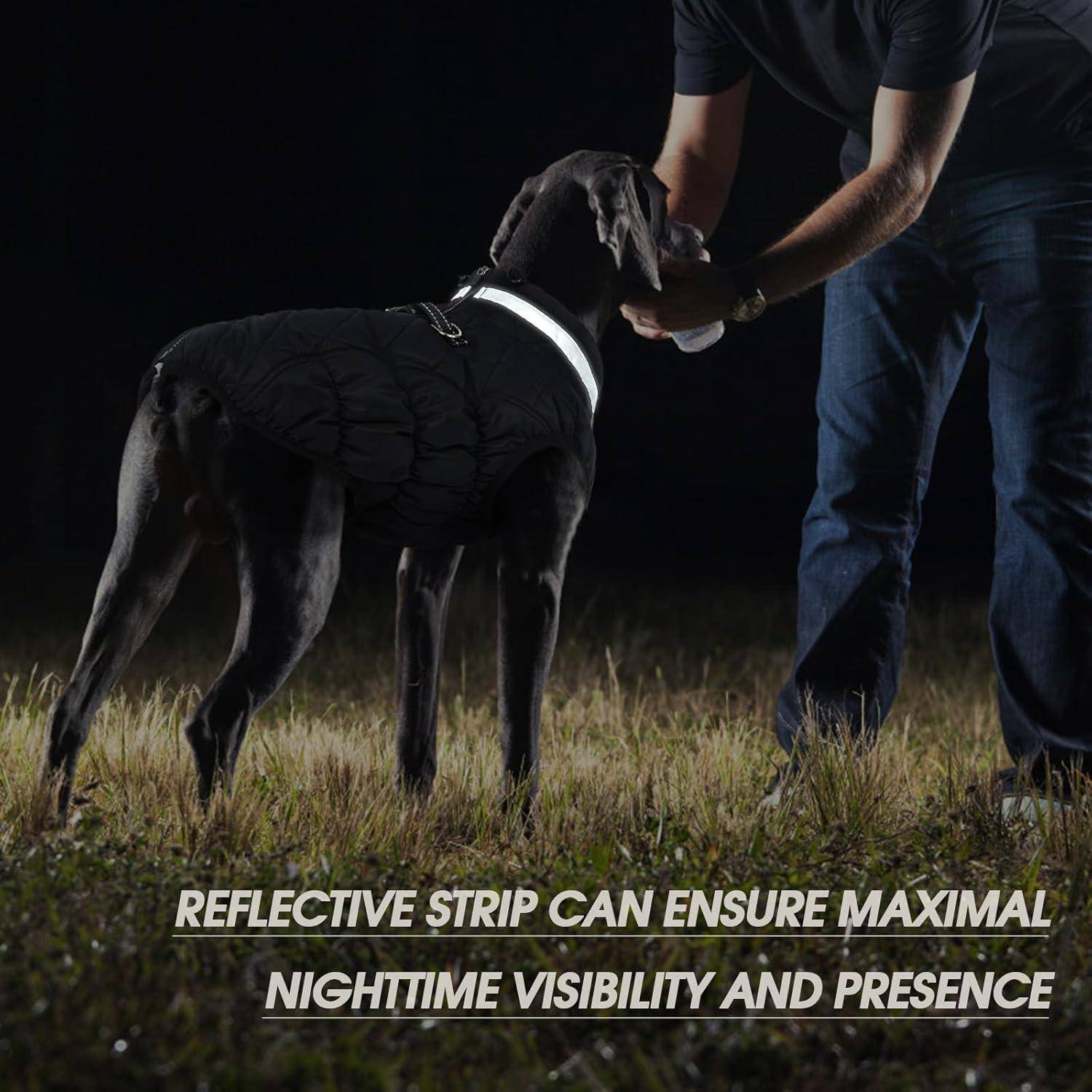 Ein Hund mit einer Jacke mit reflektierendem Streifen steht nachts neben einer Person. Der Text unten lautet: „Ein reflektierender Streifen kann maximale Sichtbarkeit und Präsenz bei Nacht gewährleisten.