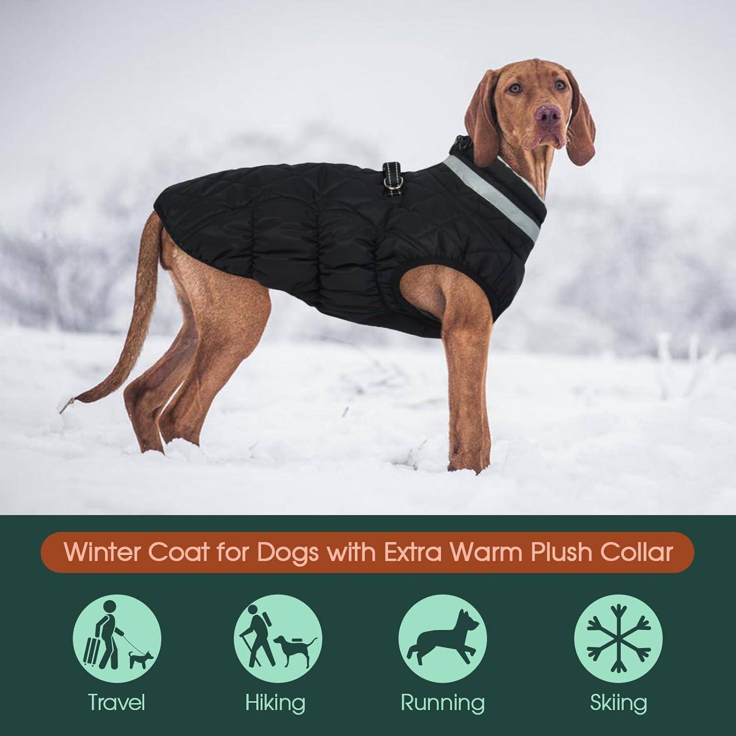 Ein Hund mit einem schwarzen Wintermantel steht auf Schnee. Text darunter liest sich: 'Wintermantel für Hunde mit extra warmem Plüschkragen.' Symbole stellen Reisen, Wandern, Laufen und Skifahren dar.