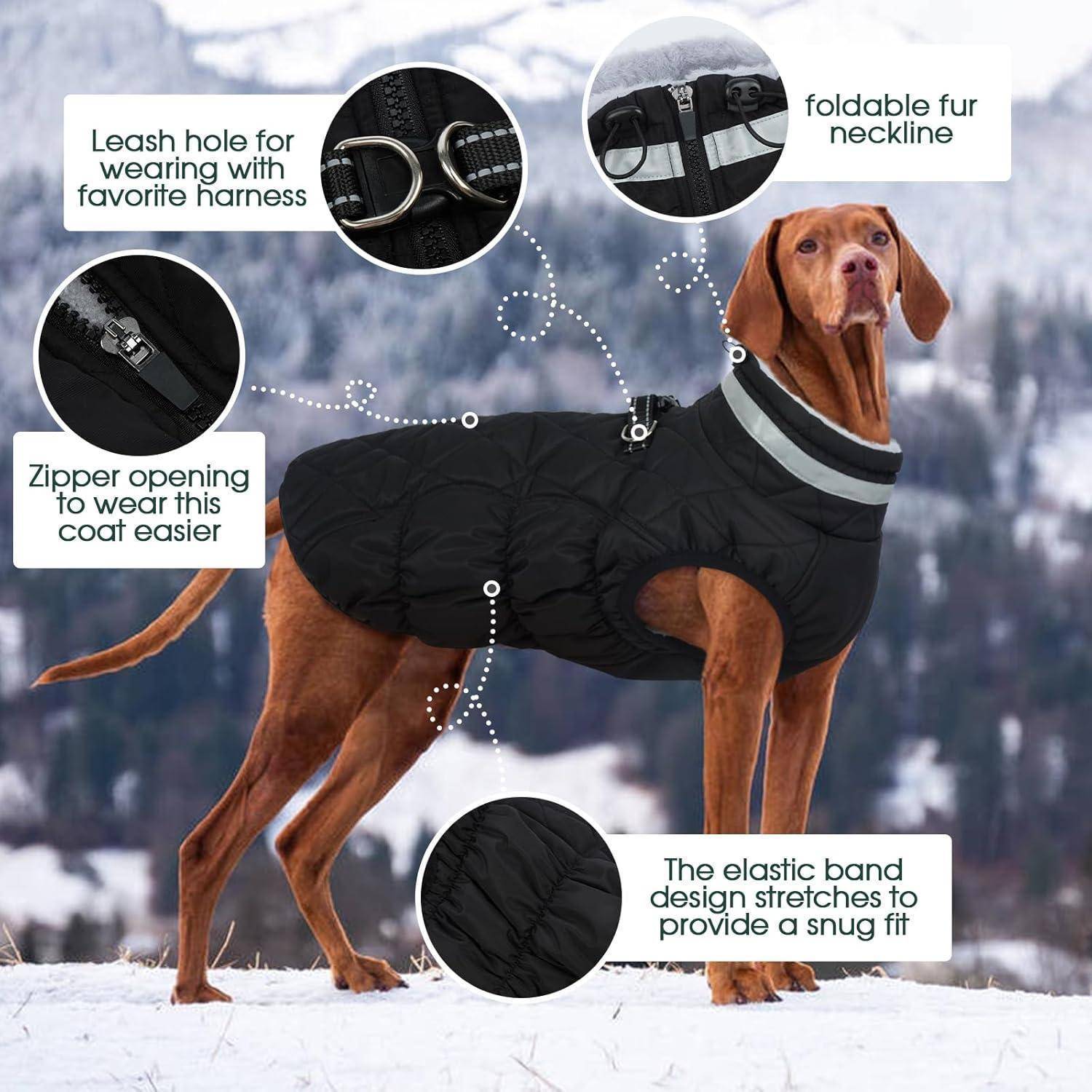 Ein brauner Hund trägt einen schwarzen Mantel und steht in einer verschneiten Landschaft. Beschriftungen heben Merkmale hervor: Leinenloch, faltbarer Kragen, Reißverschluss und Gummizug.