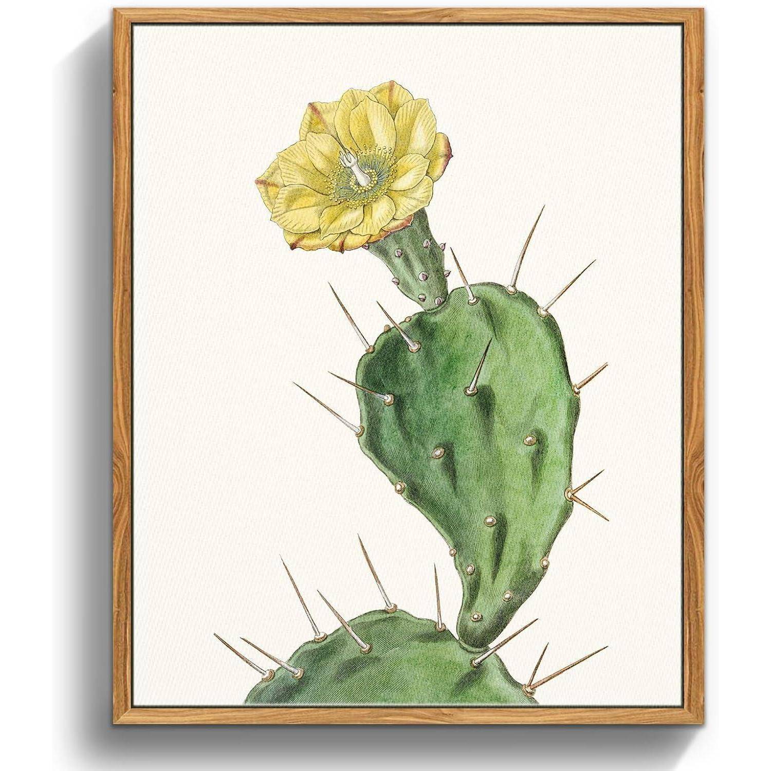 Vintage Botanisch Leinwand Bilder Holzrahmen 20x25cm Opuntia Flowering
