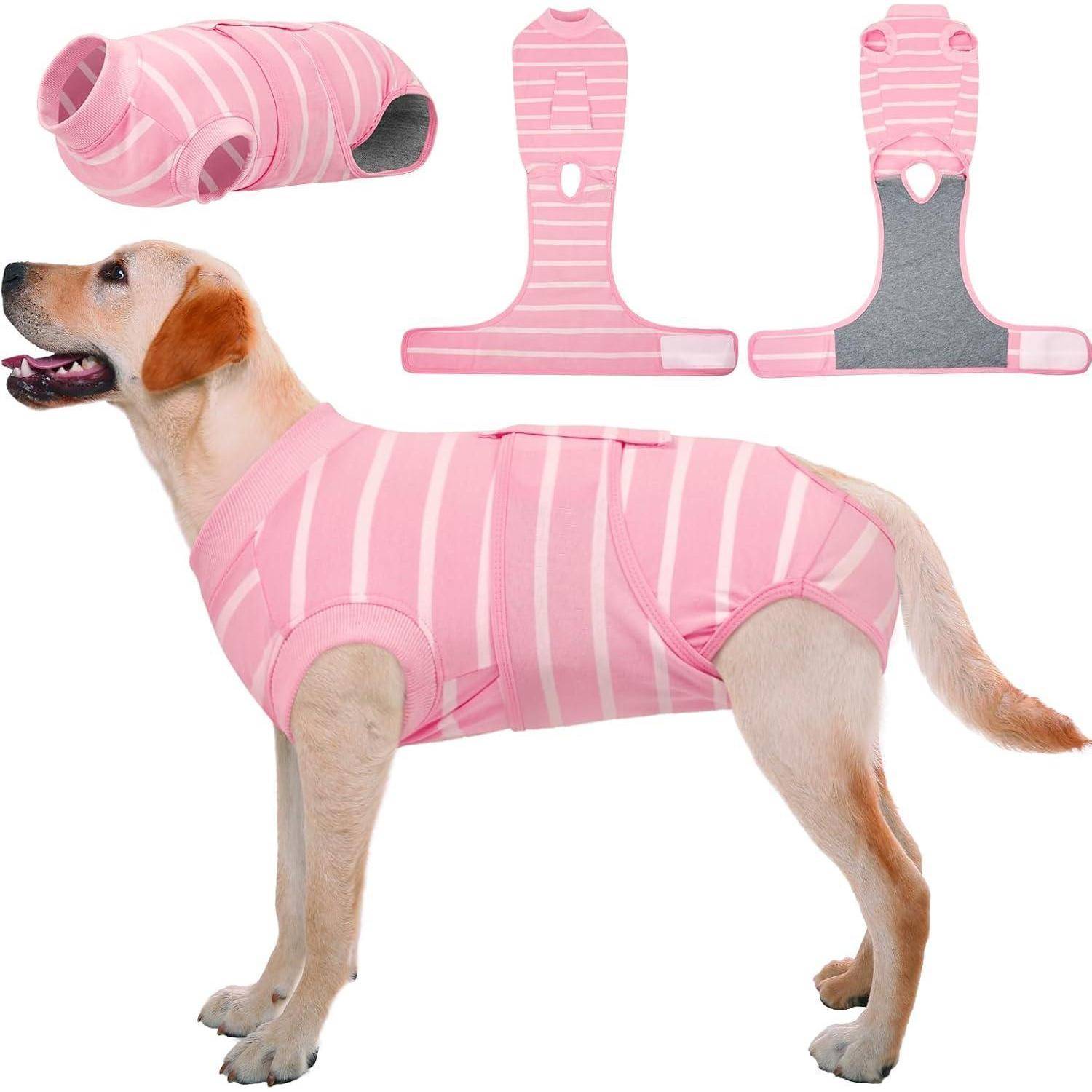 Ein Hund, der von der Seite einen rosa-weiß gestreiften Genesungsanzug trägt. Darüber sind Bilder zu sehen, die die offene Anordnung des Anzugs zeigen.