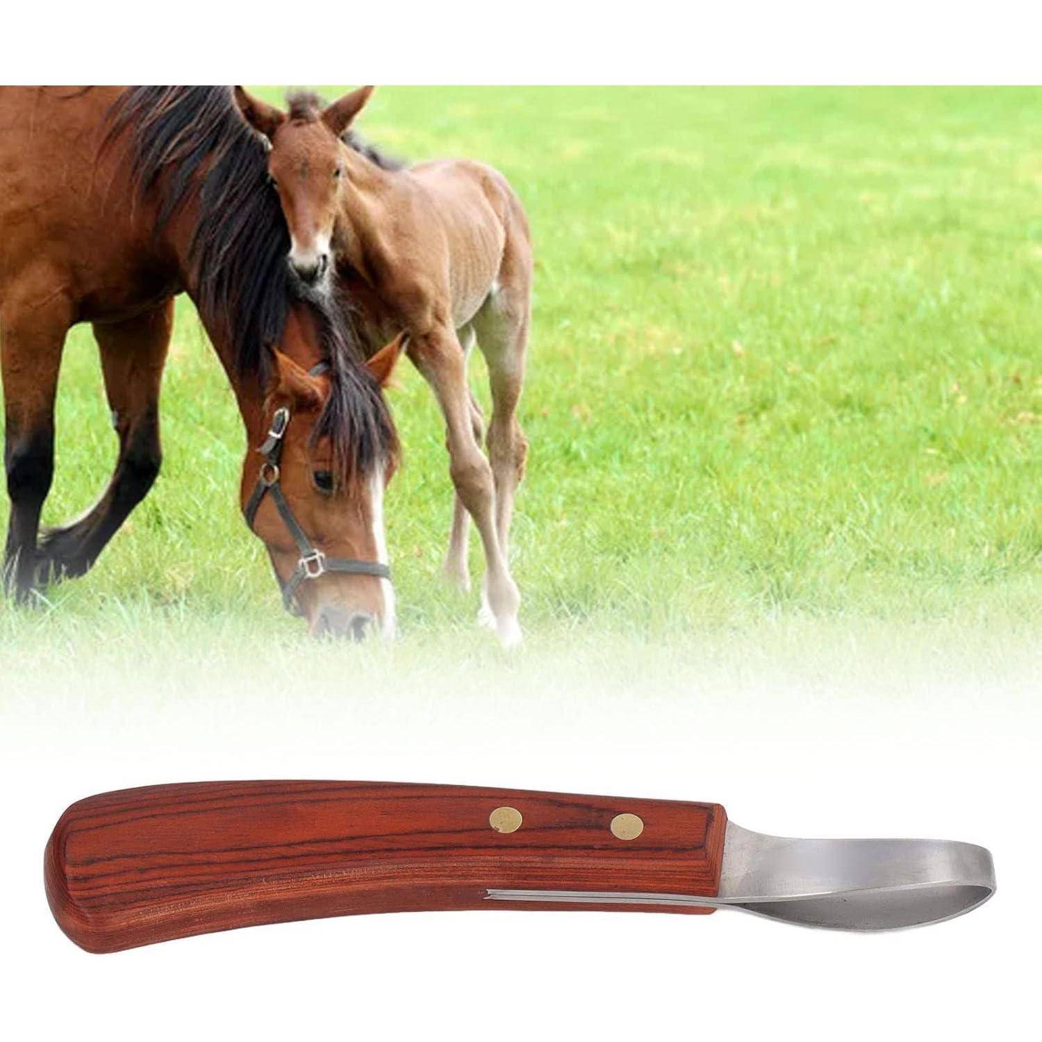 Hufmesser mit Holzgriff rutschfest für Pferde & Esel - Edelstahl