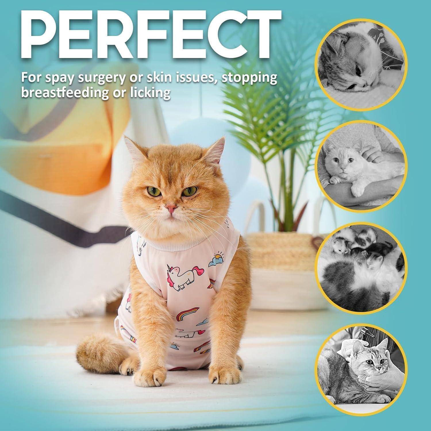 Eine Katze, die einen Genesungsanzug mit Einhörnern trägt und auf einem Bett sitzt. Text lautet: 'Perfekt nach Kastration oder bei Hautproblemen, zum Abstillen oder Belecken verhindern.