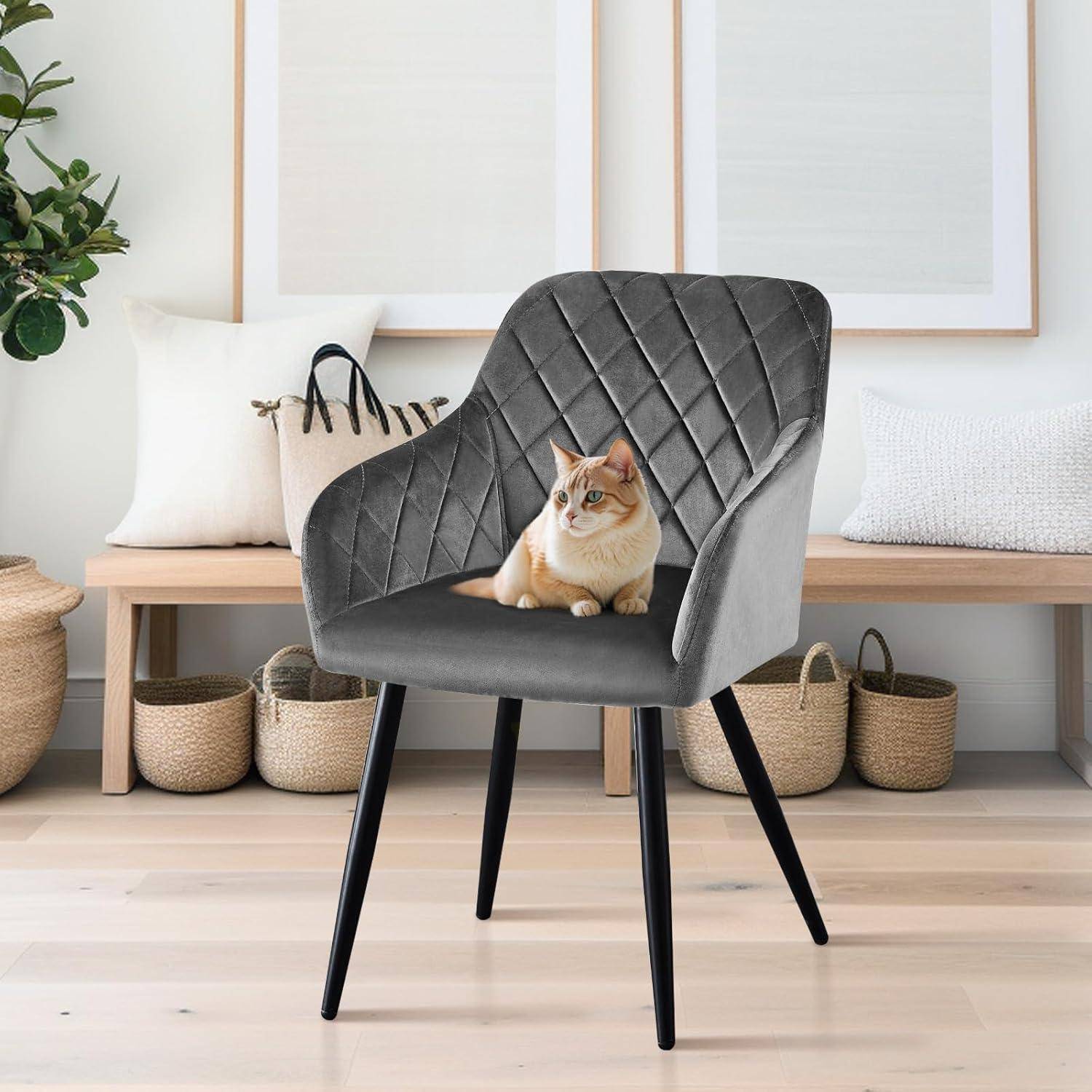 Eine Katze sitzt auf einem grauen, gesteppten Stuhl in einem modernen Raum mit hellem Holzboden, einer Holzbank, Körben, Pflanzen und minimalistischer Einrichtung.