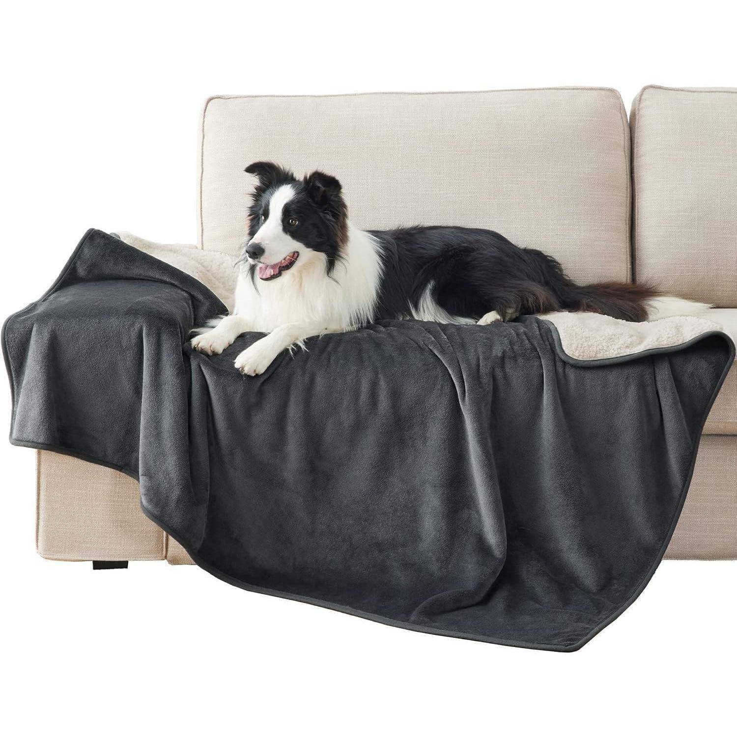 Ein Hund mit schwarzem und weißem Fell liegt gemütlich auf einem beigen Sofa, teilweise von einer dunkelgrauen Decke bedeckt.