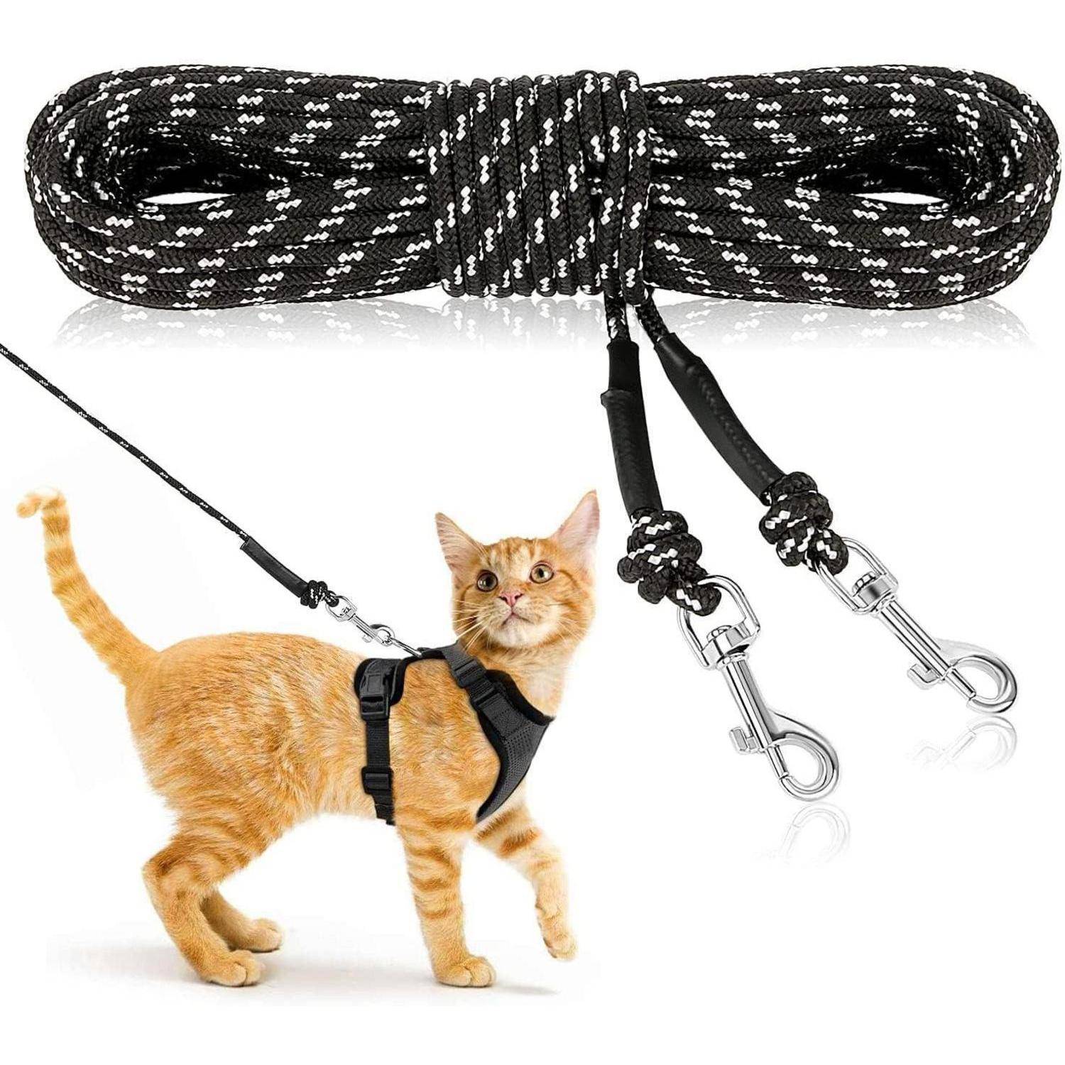 Eine Katze mit rotbraunem Fell trägt ein schwarzes Geschirr und ist an einer schwarz-weißen Seil-Leine befestigt. Der Hintergrund zeigt zwei Metallkarabiner.