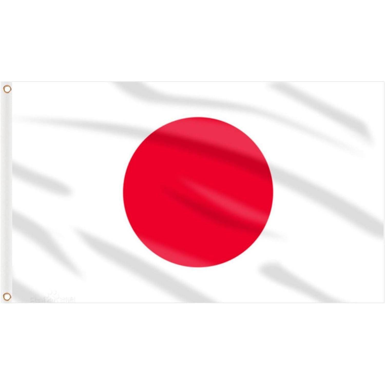 Eine weiße Flagge mit einem großen roten Kreis in der Mitte, die die Nationalflagge Japans darstellt.