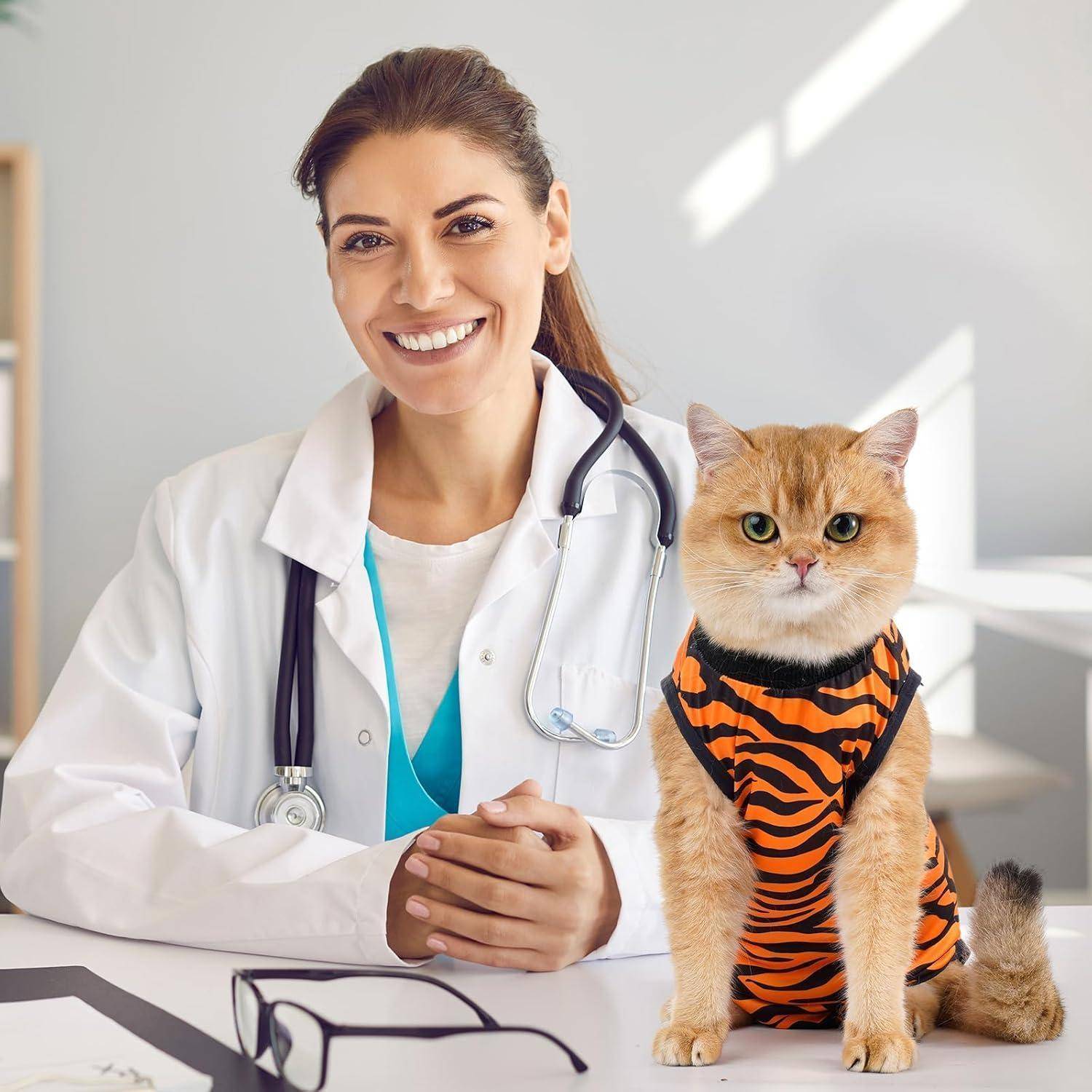 Eine Tierärztin lächelt in die Kamera, während neben ihr auf dem Tisch in einem hellen Büro eine Katze in einem Tiger-gestreiften Outfit sitzt.