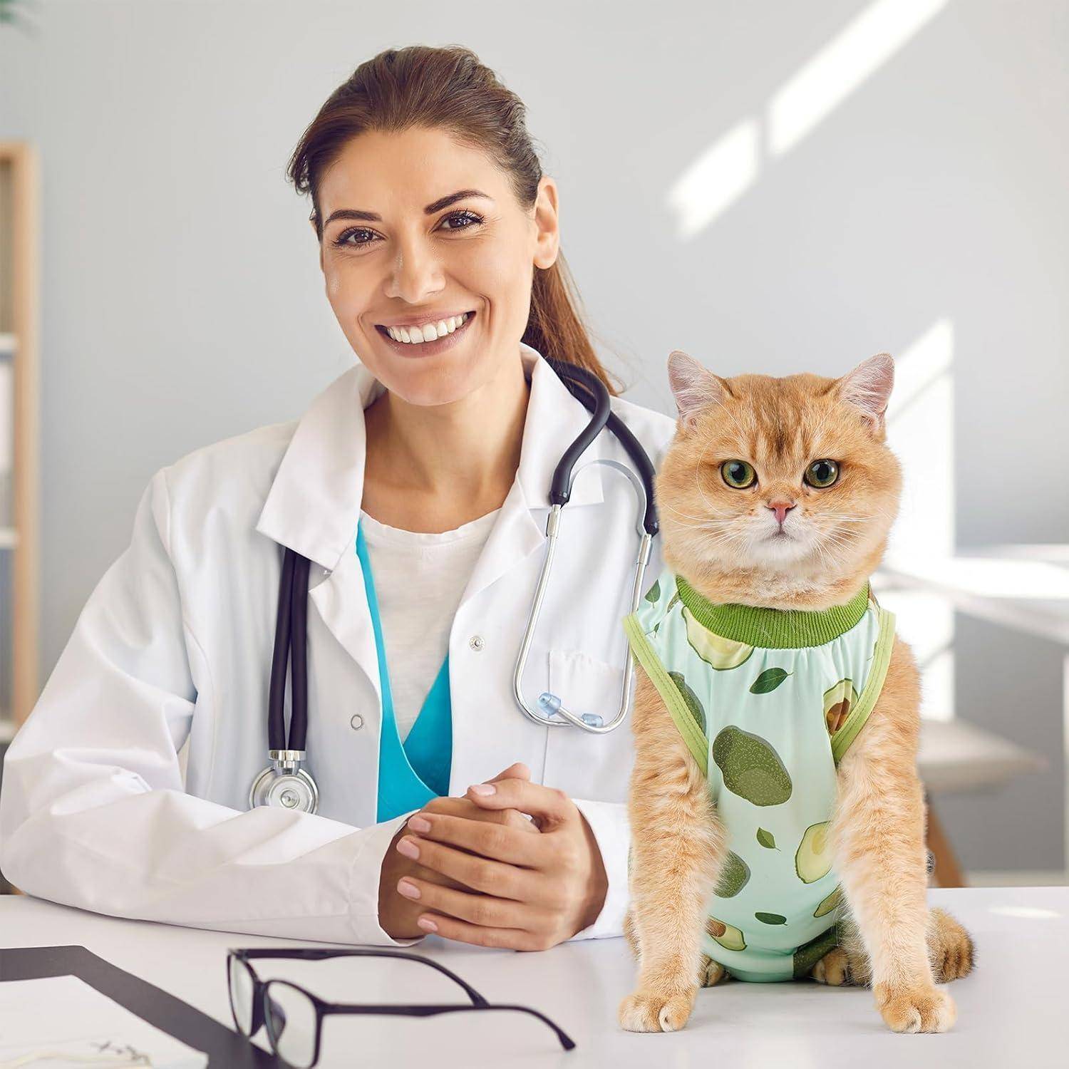Ein Tierarzt lächelt, während er neben einer orangefarbenen Tigerkatze sitzt, die eine grün-weiße Weste trägt. Sie befinden sich in einem hellen Bürobereich.