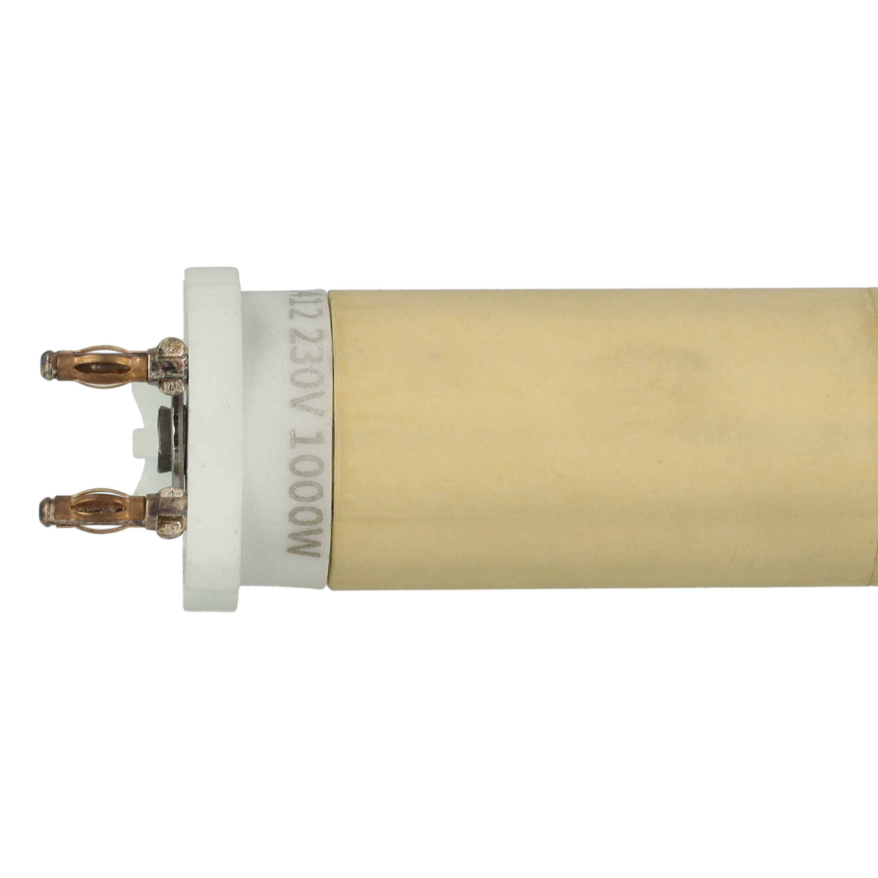 Eine Glühbirne mit zylindrischer Form, die eine weiße Basis und einen goldenen Metallic-Finish aufweist, mit zwei Metallstiften zur elektrischen Verbindung.