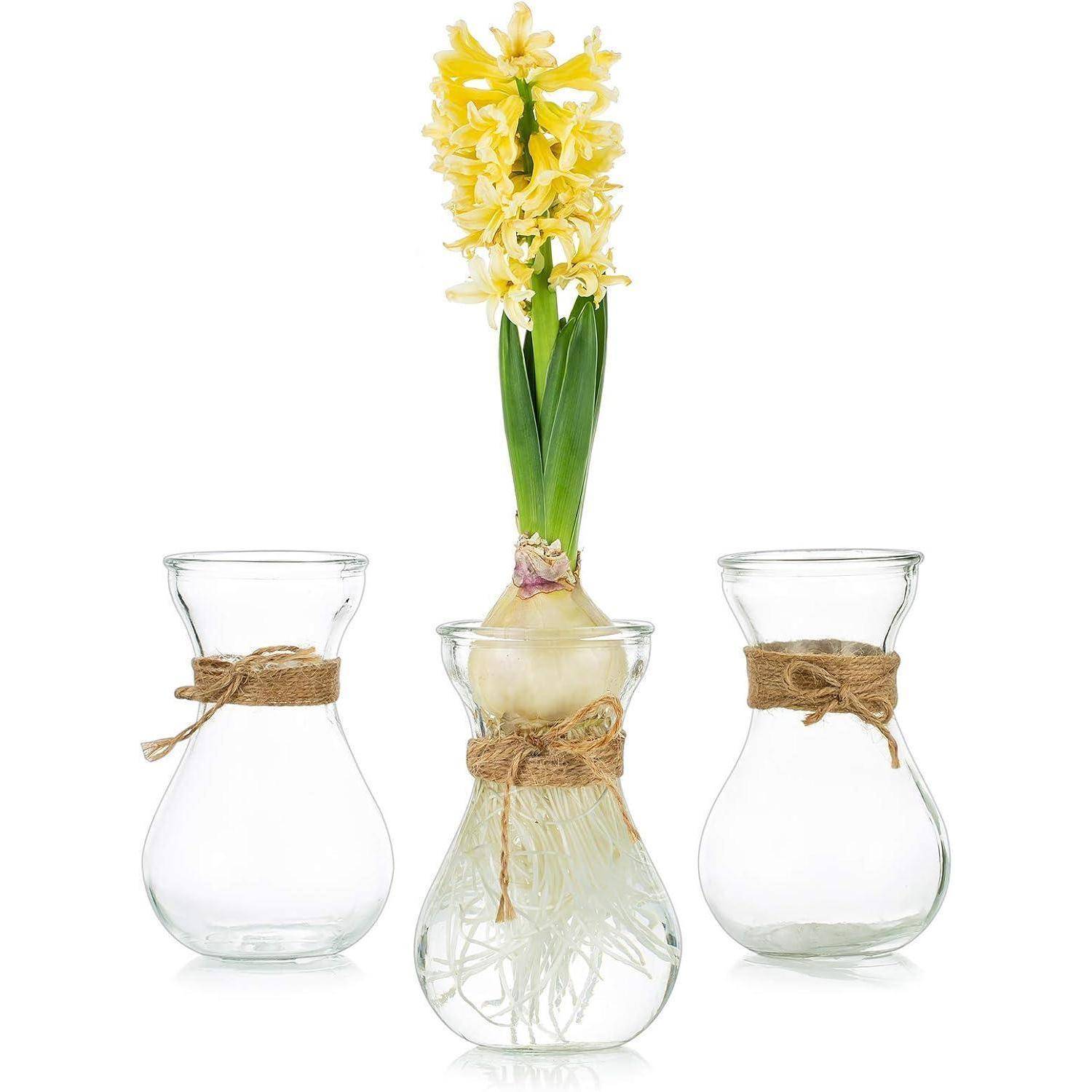 Glasvase Blumenarrangements Schnurseil 3 Stück Set Hochzeit Zuhause