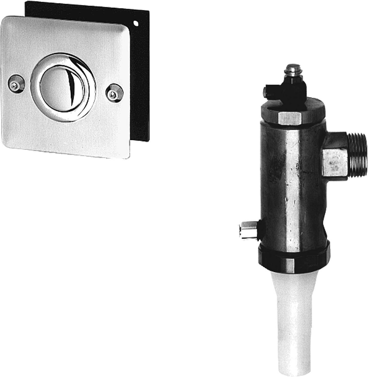 Flushometer-Ventil und Taste vor dunklem Hintergrund.