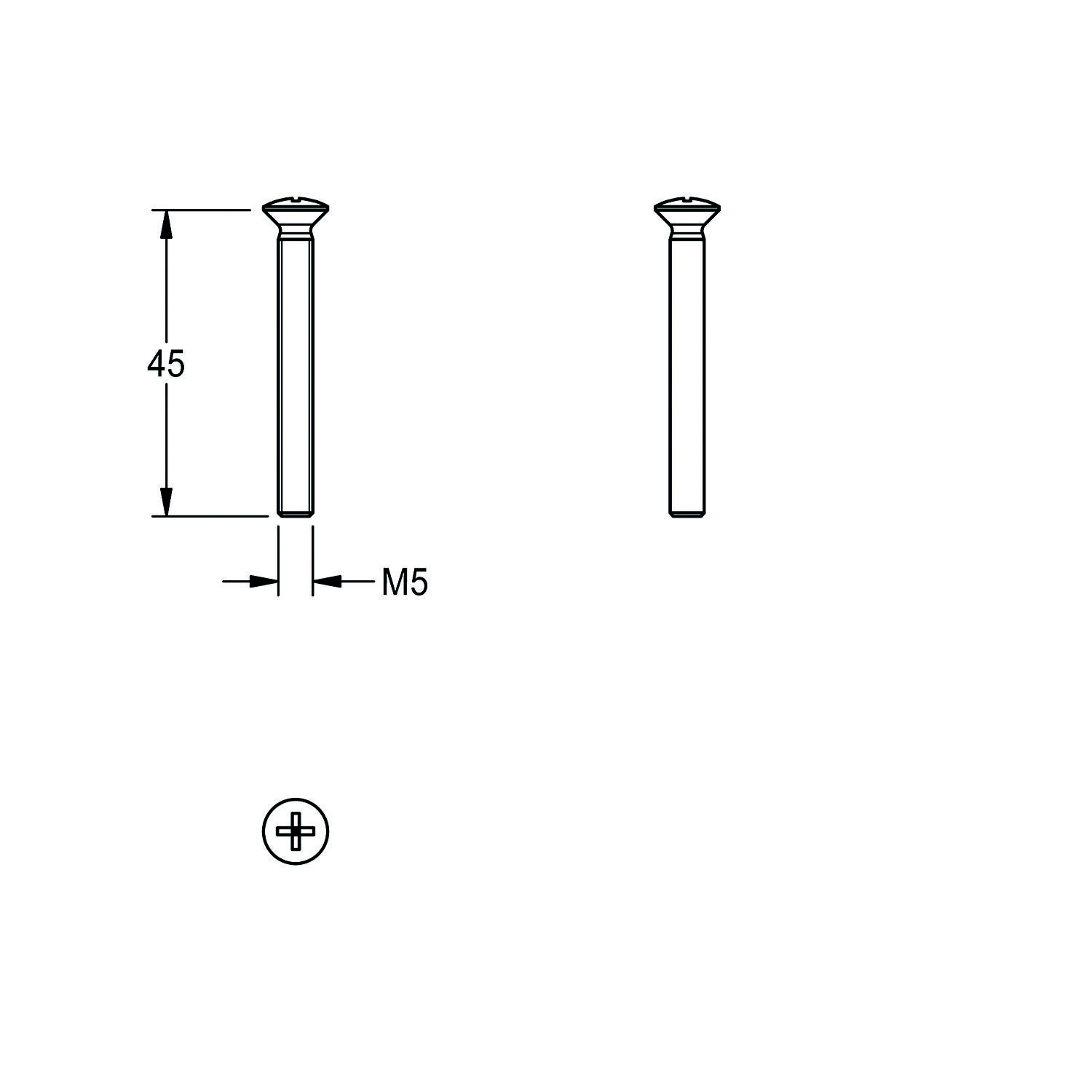 Schematische Zeichnung einer Flachkopfschraube mit 45 mm Länge und M5 Durchmesser, dargestellt in Seiten- und Endansicht.