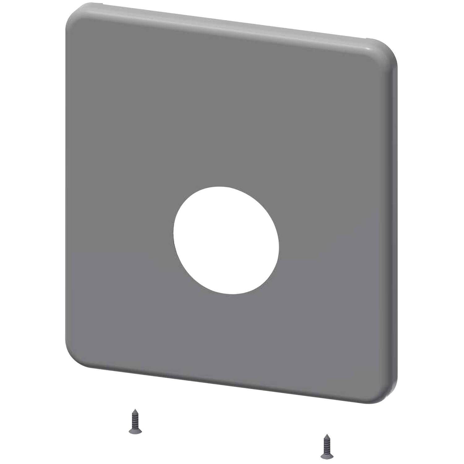 Eine graue Metallabdeckplatte mit einem zentralen Loch wird vor einem schwarzen Hintergrund präsentiert, begleitet von zwei Schrauben darunter.