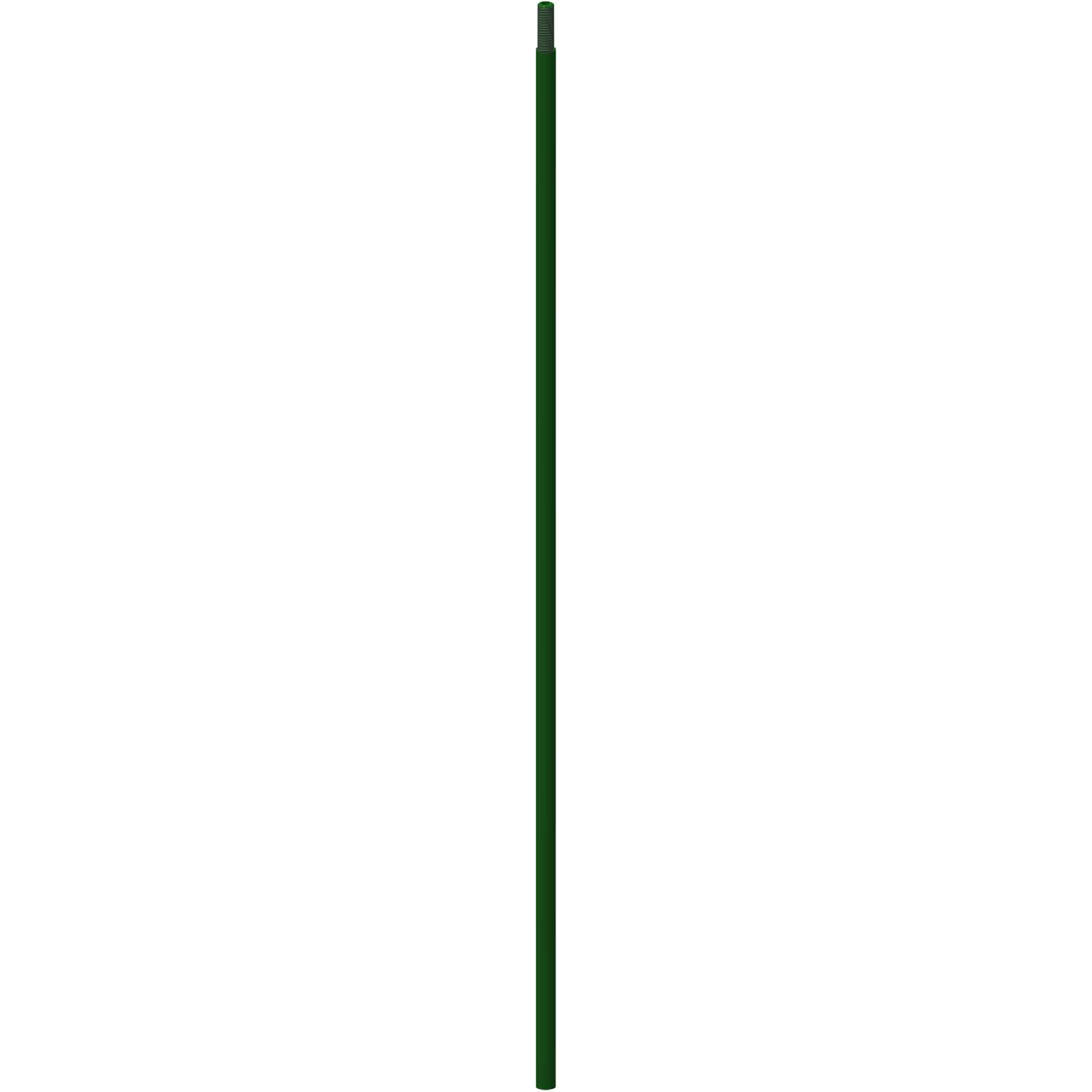 Schlanke, längliche grüne Stange mit gerippter Textur und sichtbarer Spitze.