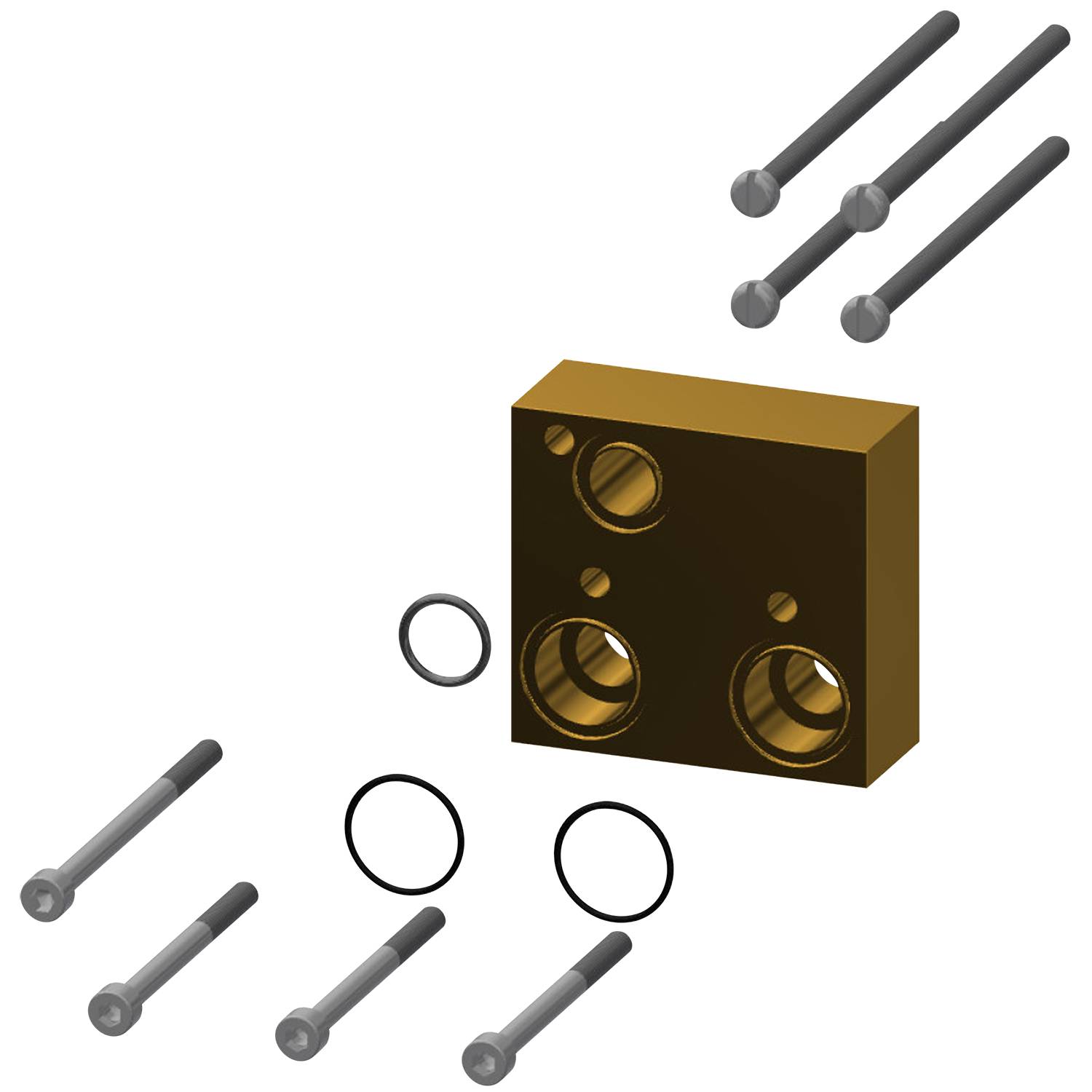 Goldener rechteckiger Block mit kreisförmigen Löchern, umgeben von sechs Schrauben und zwei O-Ringen, auf einem schwarzen Hintergrund.