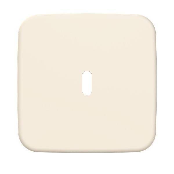 Busch-Jaeger Zentralscheibe 6479-212