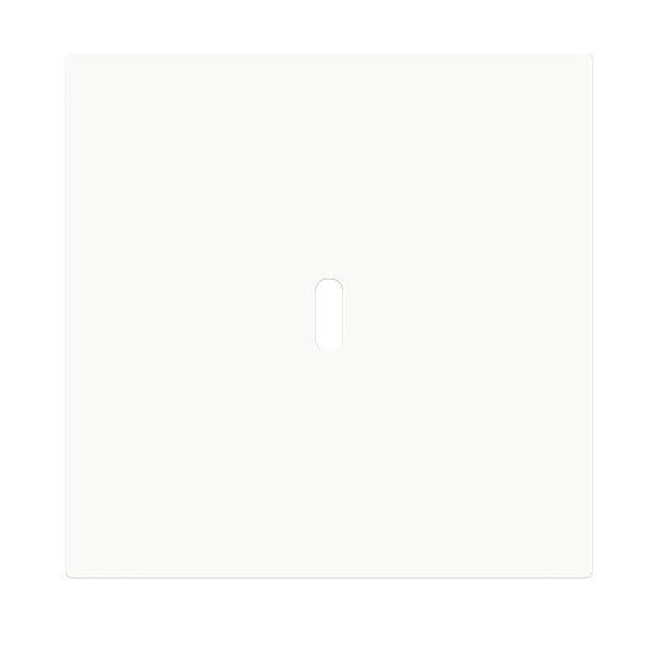 Busch-Jaeger Zentralscheibe 6479-44G