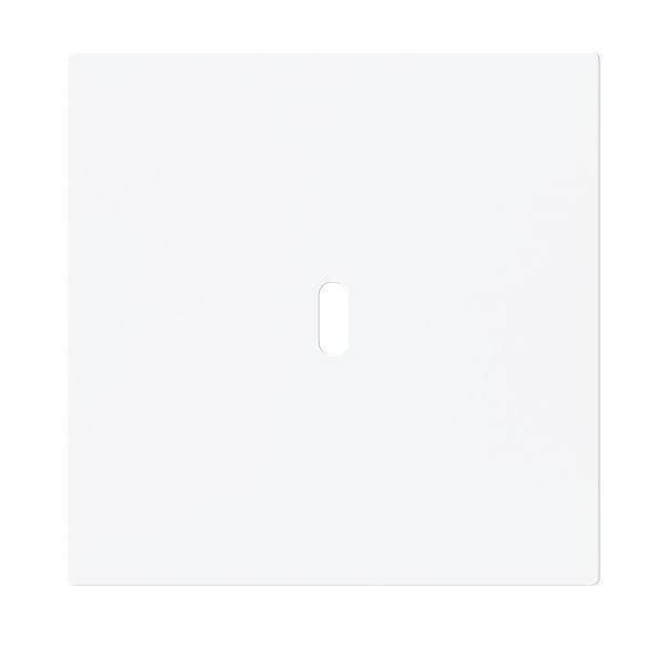 Eine schlichte weiße Abdeckplatte mit einem rechteckigen zentralen Ausschnitt für einen Schalter.
