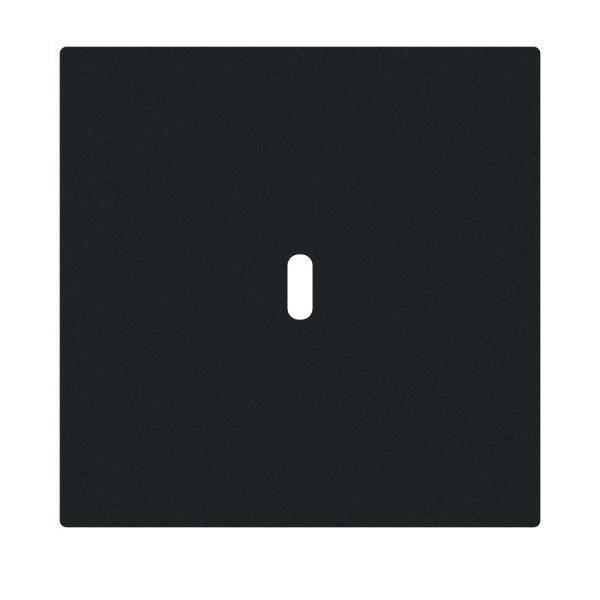 Busch-Jaeger Zentralscheibe 6479-45M