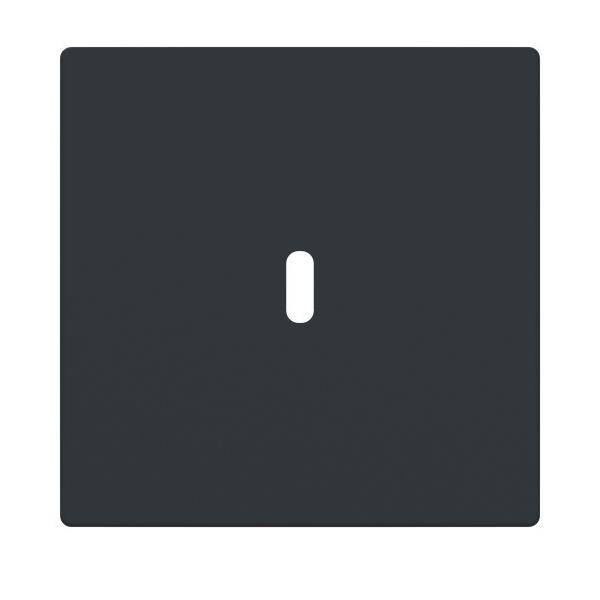 Busch-Jaeger Zentralscheibe 6479-81