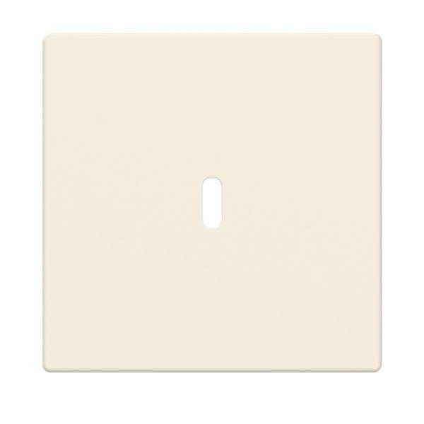 Busch-Jaeger Zentralscheibe 6479-82