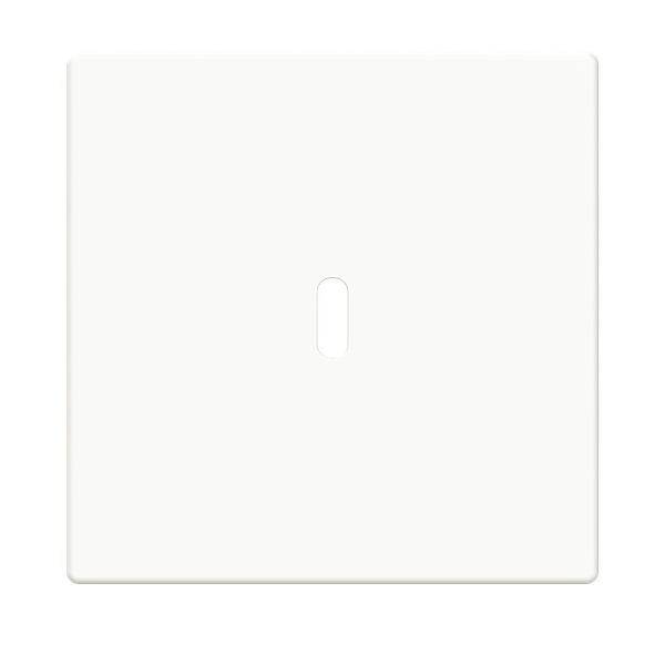 Busch-Jaeger Zentralscheibe 6479-84