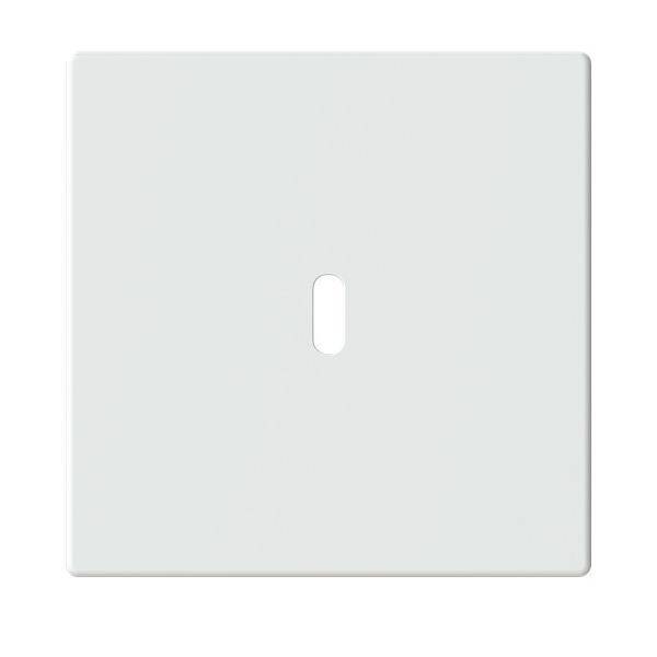 Eine weiße, leere Lichtschalterabdeckung mit einer rechteckigen vertikalen Öffnung in der Mitte für den Schalterzugang.