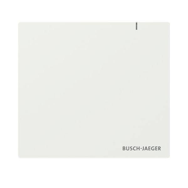 Busch-Jaeger System Access Point SAP.13