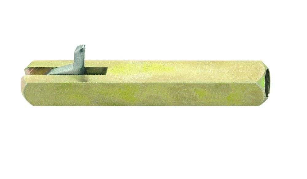 Ein kleiner Vogel sitzt auf einer flachen, gelblich-beigen Oberfläche mit einem subtilen grünlichen Schimmer vor einem weißen Hintergrund.