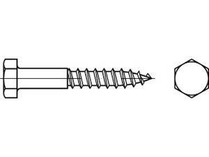 Diagramm einer Schraube mit Seiten- und Frontansicht, die die Spiralgewinde und die spitze Spitze hervorhebt.