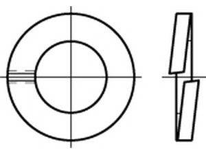 Reyher Federringe DIN 127 Federst. B 6 galv. verzinkt (1000)