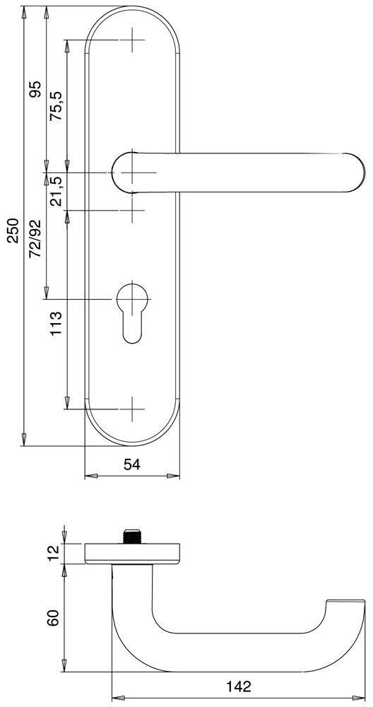 Technische Zeichnung einer Türklinken-Schließplatte; Abmessungen: 250 mm Gesamthöhe, 54 mm Breite, Schlüsselloch-Mittelpunkt 113 mm von oben.