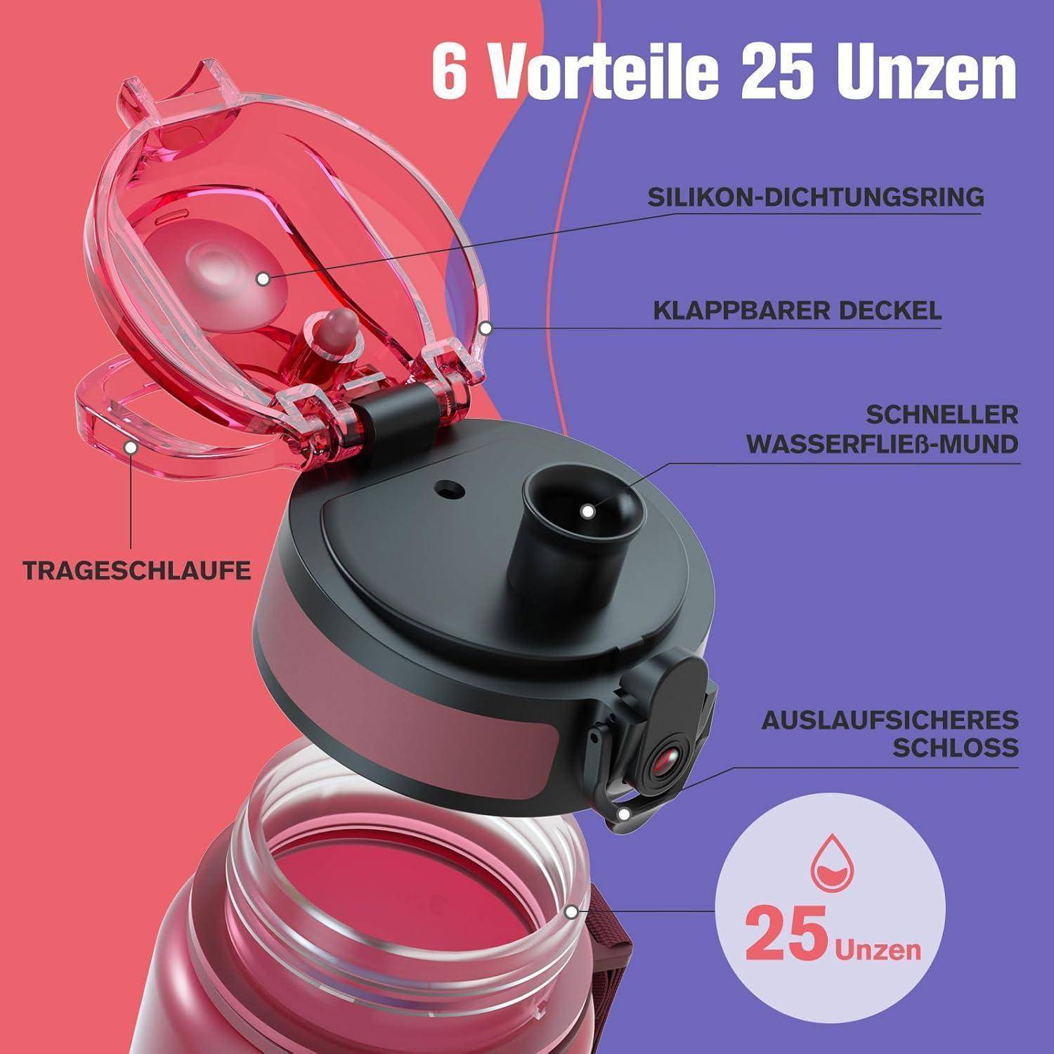 Rosafarbene Wasserflasche mit Klappdeckel, Silikonabdichtung, sicherem Verschluss und Tragschlaufe. Textmerkmale heben hervor: 6 Vorteile, 25 Unzen.