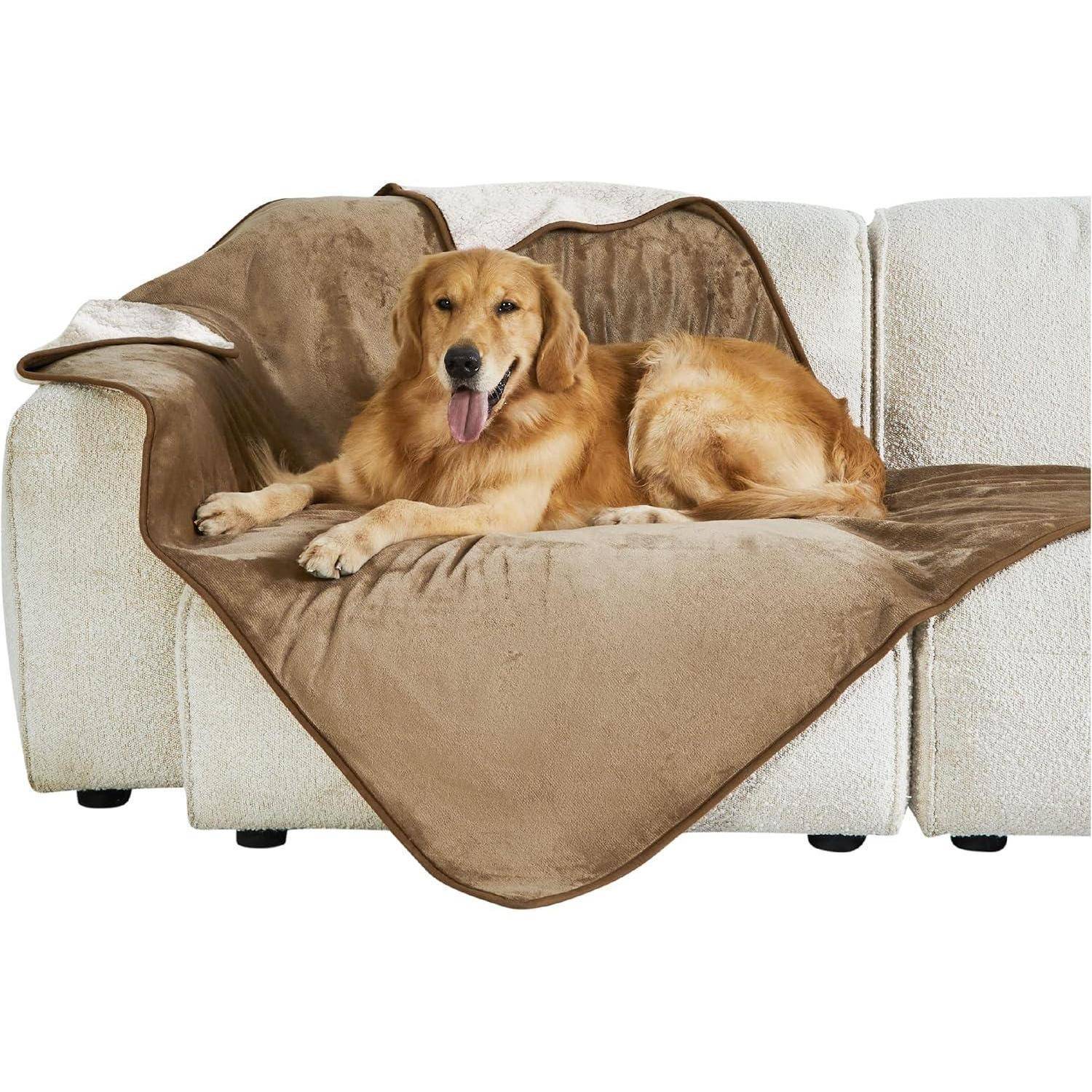 Ein Golden Retriever liegt gemütlich auf einem Sofa, über das eine braune Decke gebreitet ist, und wirkt zufrieden und entspannt.