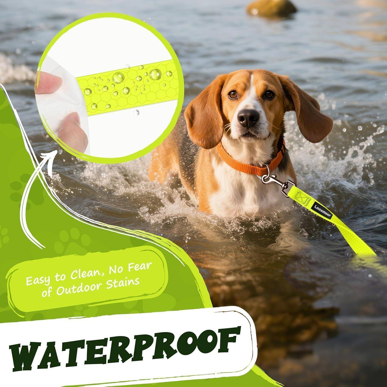 Ein Beagle läuft durch Wasser mit einer gelben wasserdichten Hundeleine. Text liest sich: 